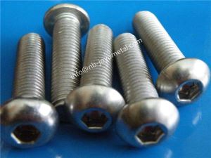 1.4547,254SMO,S31254 High Tensile Hardware Stainless Steel Slot Round Head Screw